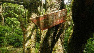 地蔵尾根道標
