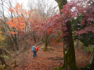 絵画の中にいるよう、見事な敷地山の紅葉
