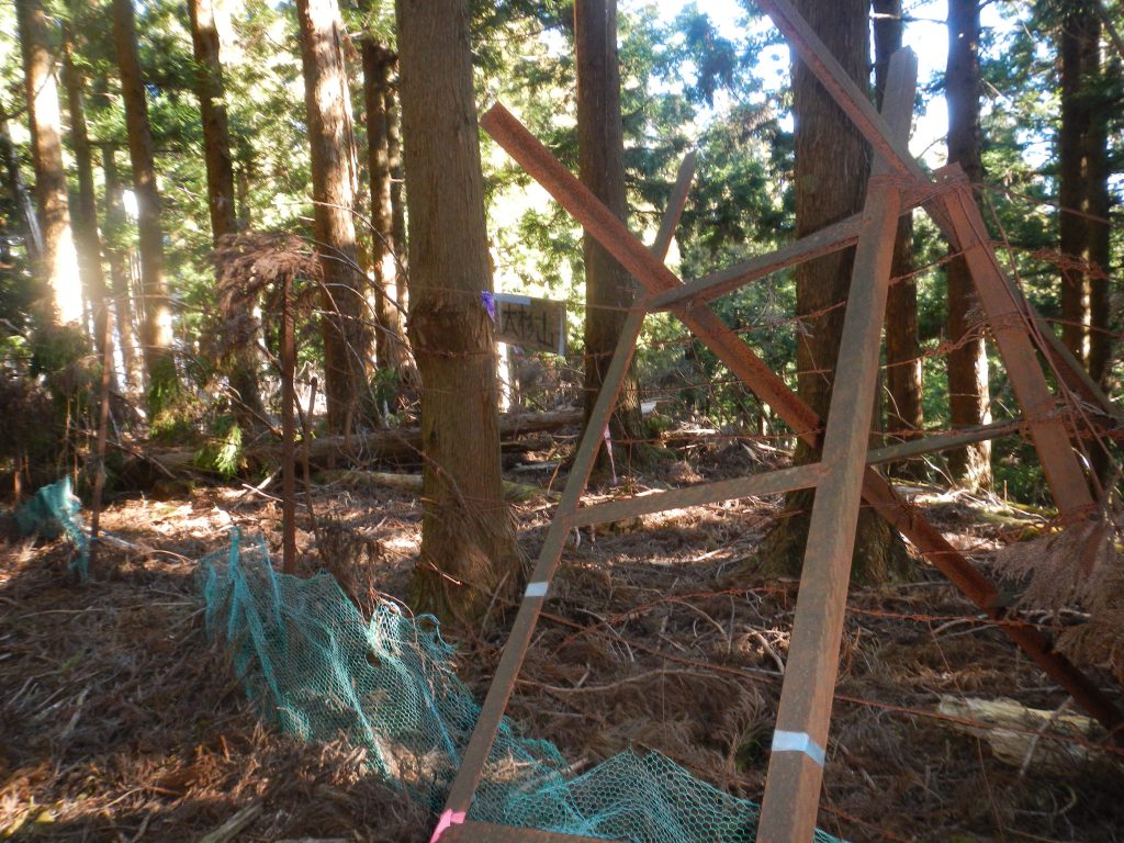大杉山の山名標