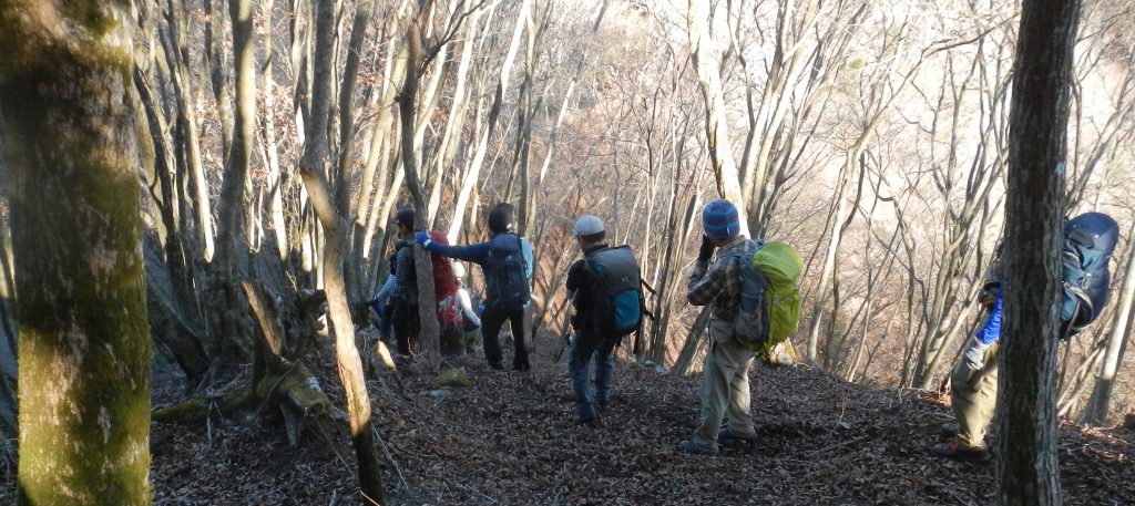 大杉山から急降下