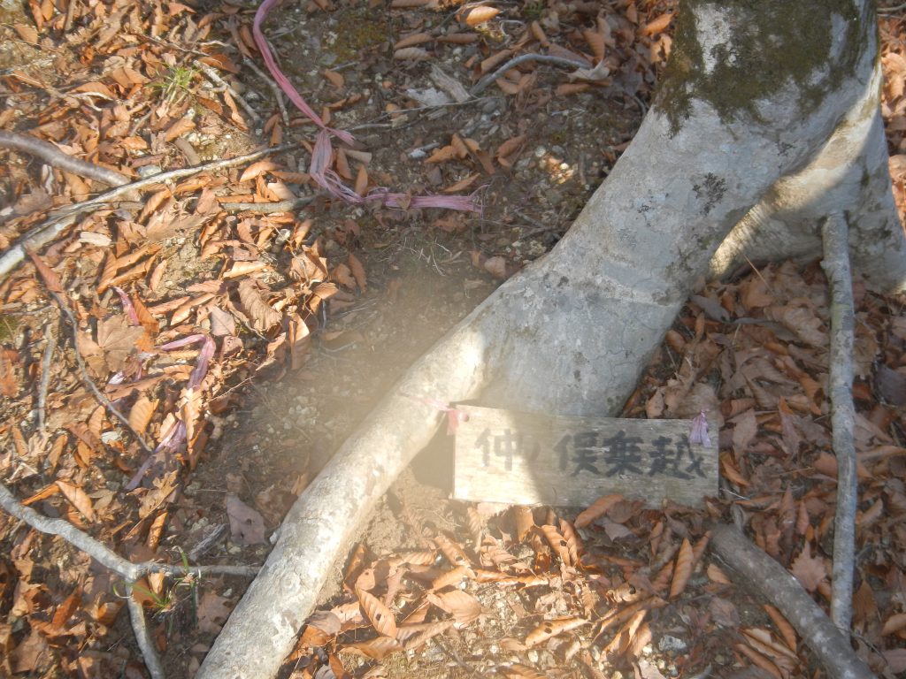 中ノ俣乗越地名板