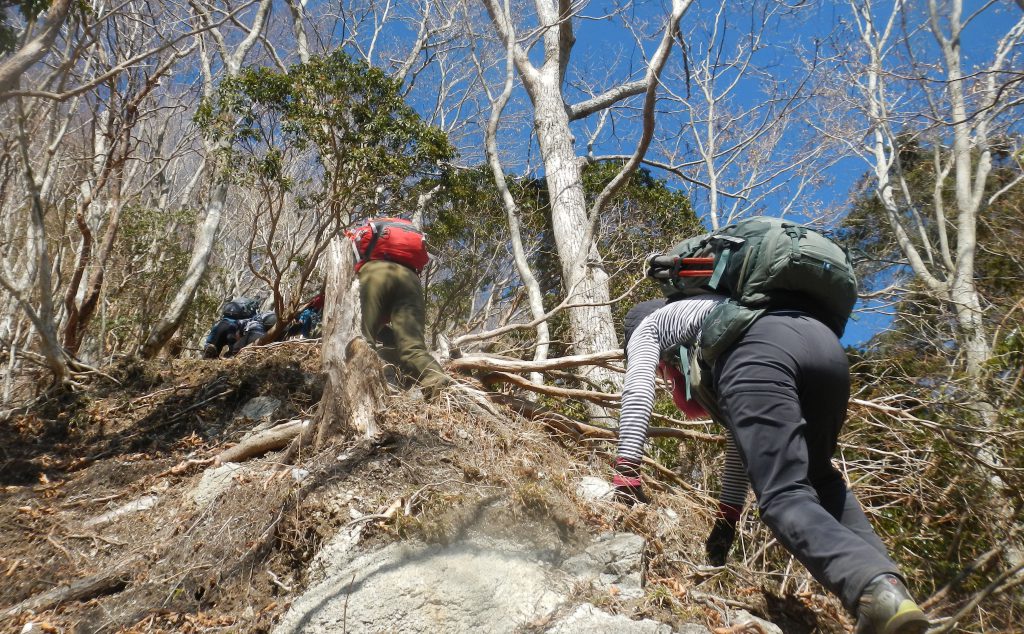 石棚山稜に向かって最後のひと頑張り
